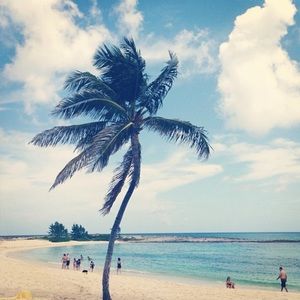 Meet your Posher, Eva